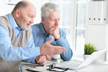 Two senior men sitting at table and using laptop