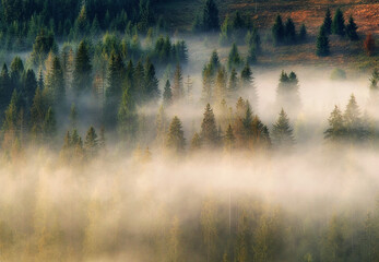 silhouettes of morning mountains. foggy morning in the Carpathians. Mountain landscape
