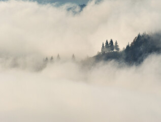 silhouettes of morning mountains. foggy morning in the Carpathians. Mountain landscape
