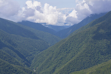 Naklejka premium Tropical Cloud Forest landscape, Manu National Park, Peru