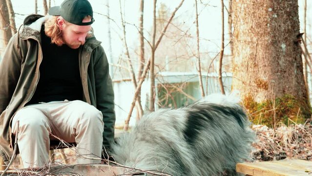 A fluffy gray wolf and a blond long-haired man sitting on a bench are in nature and take a little break. the dog seems to have discovered something that also attracts the attention of his master.