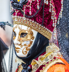 Portrait of a Person in Disguise - Venice Carnival 