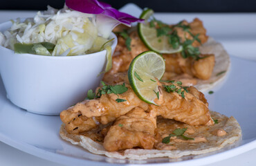 Fish Tacos with Coleslaw