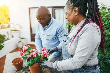 African couple preparing flowers plants at home garden outdoor - Main focus on woman ear
