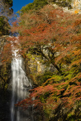 Fototapeta na wymiar 日本　大阪府箕面市にある箕面公園の箕面大滝と紅葉