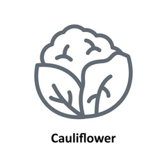Cauliflower Vector  outline Icons. Simple stock illustration stock