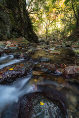 日本　大阪府箕面市にある箕面公園を流れる箕面川と紅葉した木々