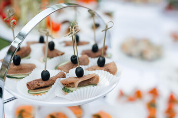 beautifully decorated banquet table with appetizers canapes. buffet for a holiday. catering buffet with snacks
