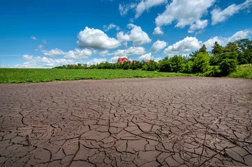 Zelfklevend Fotobehang Cracked soil after flooding a field with green soybeans, drought near the village © pavlobaliukh