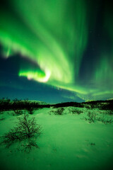 imagen de un paisaje nevado con una aurora boreal iluminando el cielo nocturno de Islandia con...