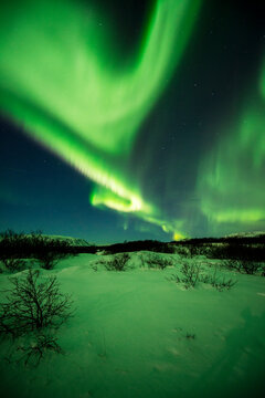 imagen de una aurora boreal verde en su máximo esplendor sobre un paisaje nevado con el cielo estrellado de fondo