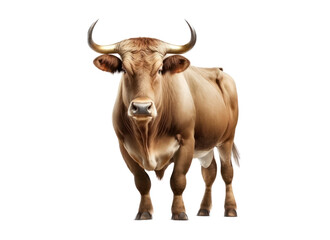 Bull isolated on white, transparent background, PNG, generative ai	
