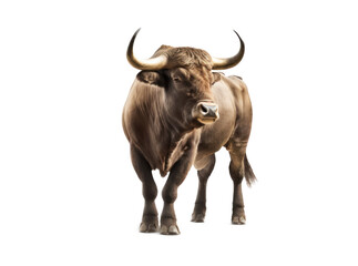 Bull isolated on white, transparent background, PNG, generative ai	
