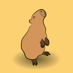 capybara vector design illustration line art