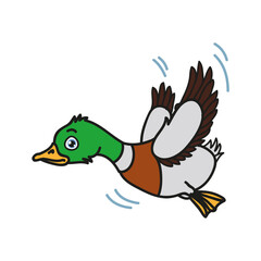 duck cartoon isolated on white