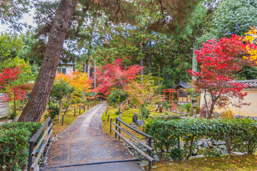 Fototapeta na wymiar 京都　鹿王院の紅葉 