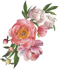 Coral pink white floral bouquet with peony flowers, buds, green leaves illustration isolated. Summer garden flowers. Hand-drawn spring flower composition for cards design, wedding invitations, decor © Diana Askarova