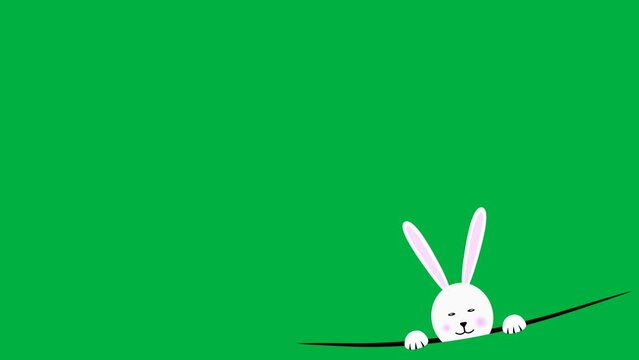 half bunny face animation on green screen
