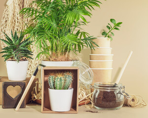 Sustainable home still life. Home gardening. Eco friendly composition with potted plants and garden accessories on beige background. Concept of ecology, conservation, plastic free and eco home