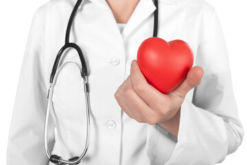 Closeup of a Doctor Holding a Heart