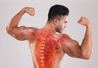 Back, man and spine with x ray, fitness and bicep arms with guy against grey studio background....