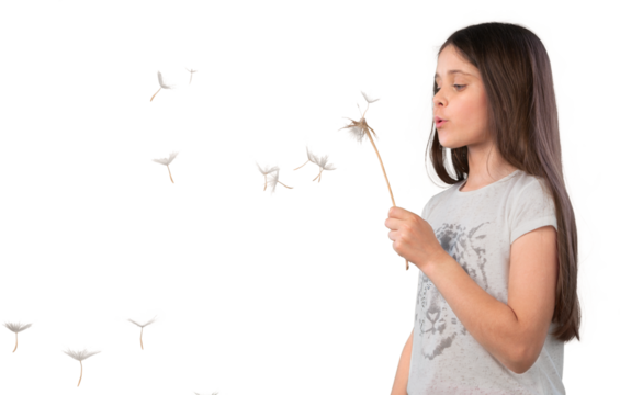Cute Little Girl blowing dandelion on white background