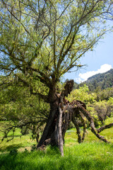 La vida pasa y no espera a nadie, solo los mas fuertes persisten y sobreviven