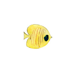 Marine fish,yellow fish, watercolor illustration highlighted on a white background