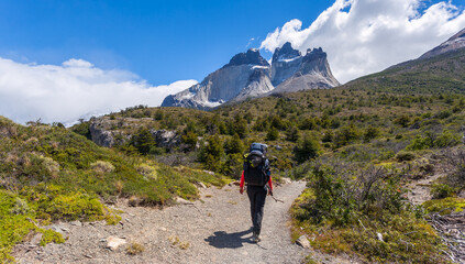 Fototapeta premium Girl trekking to see Horns of Paine in Torres Del Paine National Park, Chile
