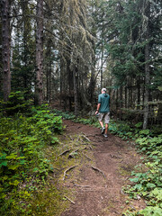 Distant rear view of a single athletic man walking on a hiking trail in the forested wilderness.