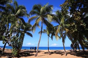 Obraz premium Guadeloupe perfect beach - Grande Anse