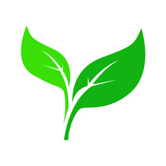  green leaf icon on a white background.elegant nature leaf pattern design, banana leaf line art, hand drawn outline design for fabric, print, 
cover, banner and invitation, vector icon illustration