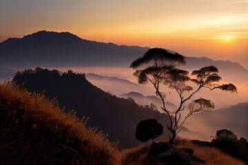 Mist on top of mountain in sunrise scenery.