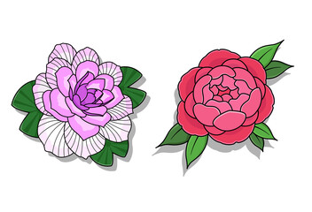 Illustration of camellia and lotus flowers vector