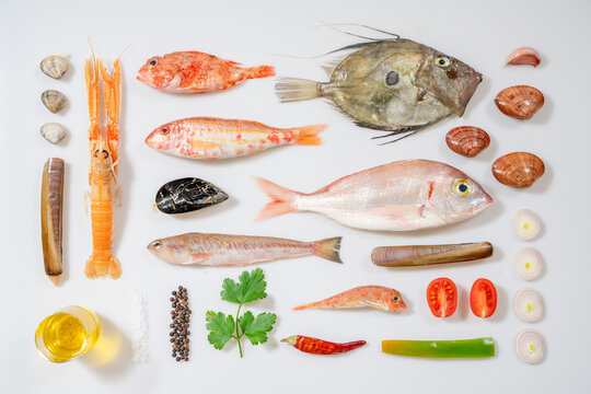 Brodetto marchigiano. Marche