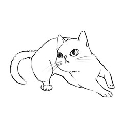 The cat is ready to run. line art for coloring