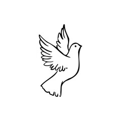 Fototapeta na wymiar pigeon sketch vector illustration on a transparent background