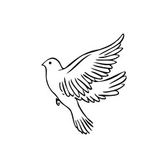 Obraz premium Pigeon sketch vector illustration on a transparent background