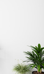 green leaves on the wall