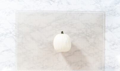 Panda Pumpkin