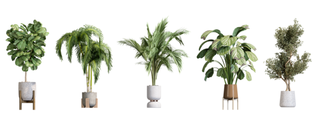 Plants in 3d rendering. Beautiful plant in 3d rendering isolated 