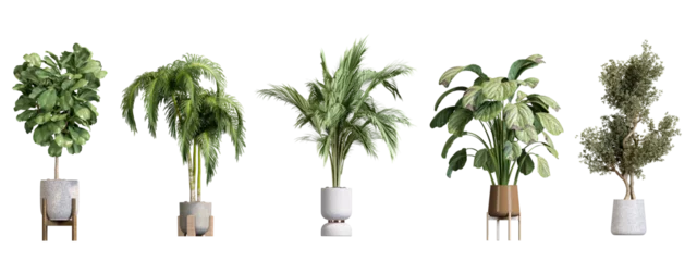 Gordijnen Plants in 3d rendering. Beautiful plant in 3d rendering isolated  © Buffstock