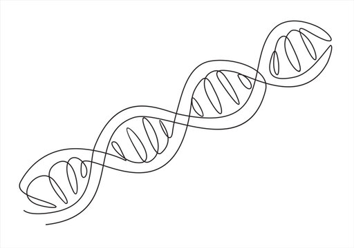 Continuous one line drawing of DNA