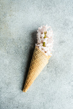 Cone waffle full of hyacinth