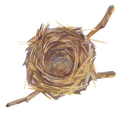 Empty bird nest from twigs on tree branch isolated on white background. Spring time, watercolor clipart. View from above