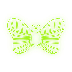 Fototapeta premium neon art butterfly 