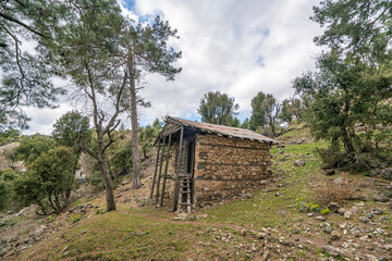 Fototapeta na wymiar Old abandoned wooden house in the rural village