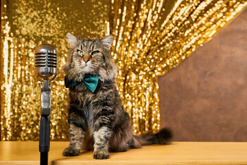 Charming curious cat In a green bow tie as it leans in to inspect a vintage microphone. golden...