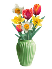 flowers of daffodils and tulips in a vase illustration