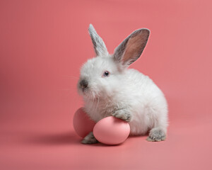 Little white fluffy bunny puts its paw on a pink egg on a pink background. Easter rabbit on colorful background. Cute pet studio shot